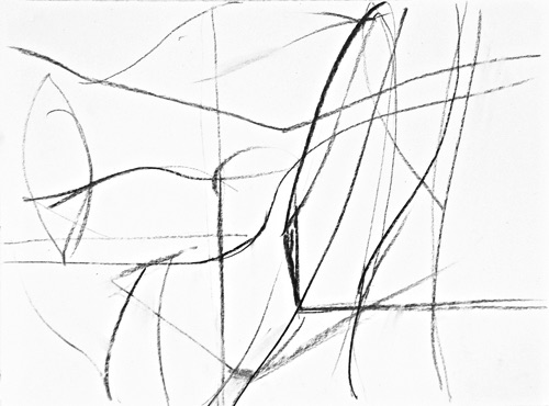 Irish Vista & Pine Trees Drawing II, 12 1/2" x 16 3/4", charcoal on paper, 2010.